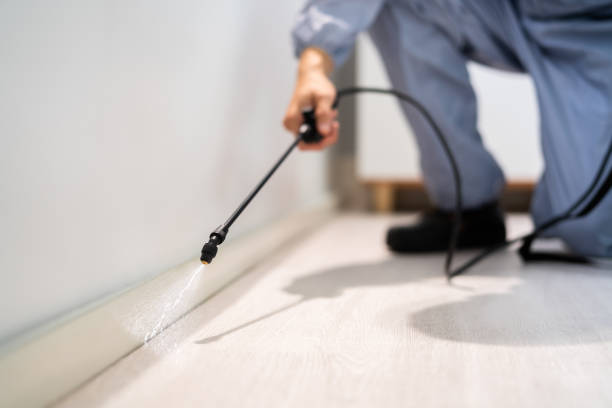 Licensed Cockroach Control service in Hebron, IN - Nex Pest Control