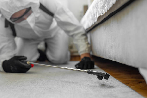 Professional Cockroach Control technician working in Hebron, IN