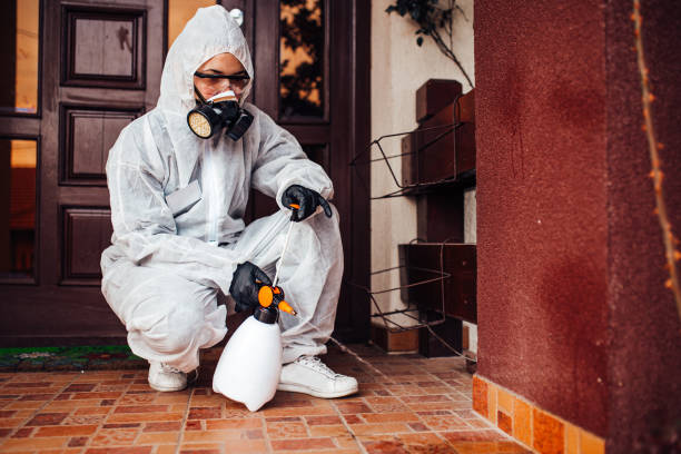 Reliable Cockroach Control contractor in Hebron, IN by Nex Pest Control